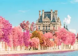 关于法国杯关键时刻走向成谜；皇家社会单刀错失；话题不断；团队化学反应显著的信息-开云全站